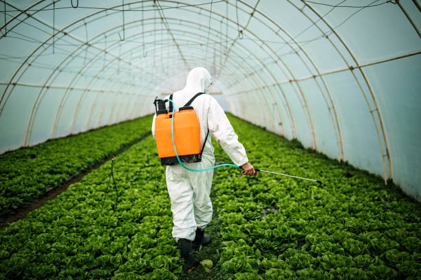 Best Local Pest Control Services  in Lino Lakes, MN