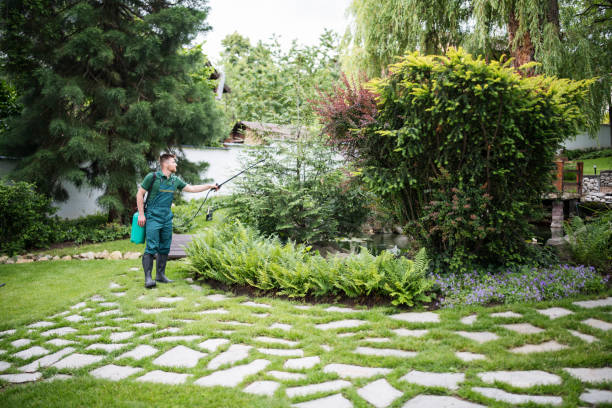 Best Insect Control  in Lino Lakes, MN
