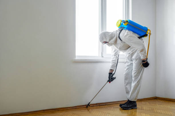 Best Commercial Pest Control Services  in Lino Lakes, MN