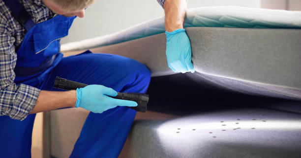 Best Best Pest Control Companies  in Lino Lakes, MN