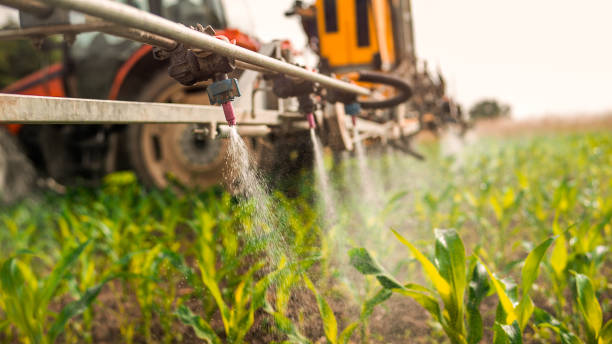 Best Pest Removal Services  in Lino Lakes, MN