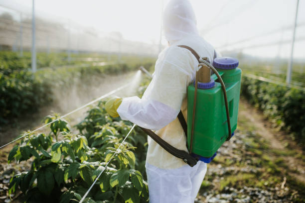 Best Bed Bug Extermination  in Lino Lakes, MN
